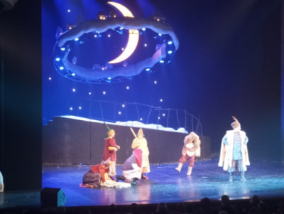 «Поход на спектакль со СВОими».