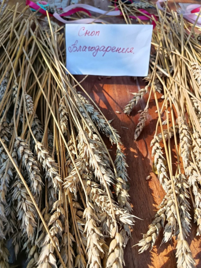 🌾Сохраняем традиции: мастер-класс «Сноп Благодарения»!🌾